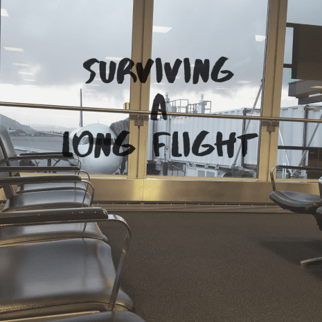 Surviving A Long Flight