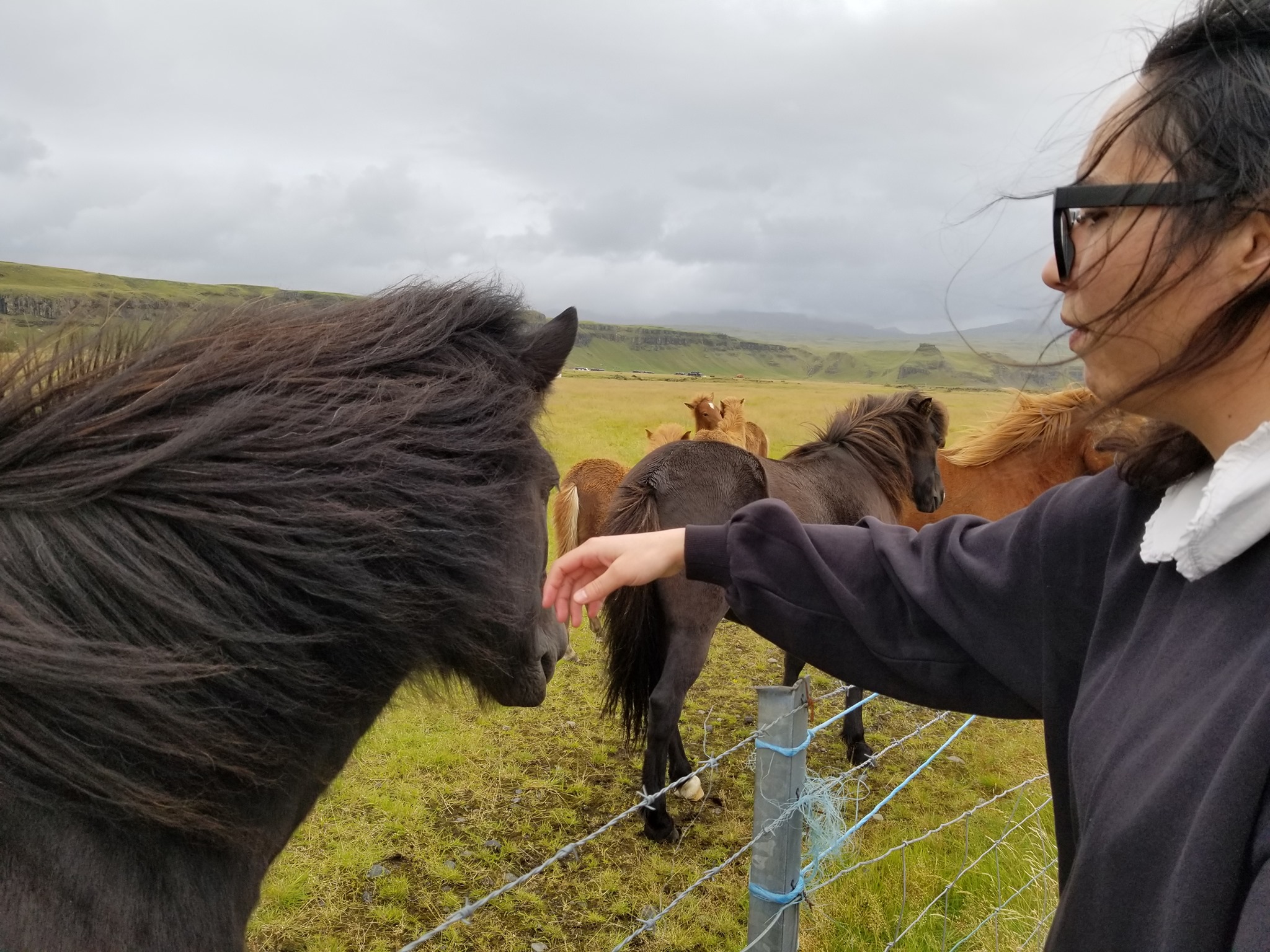 241757886_10226450653353549_6988207964159964592_n